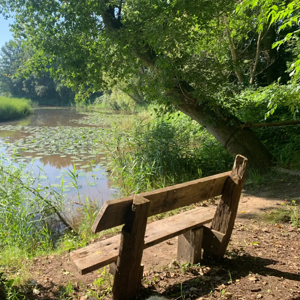 Rustgevend uitzicht over het water vanaf een bankje tijdens een korte wandelpauze.